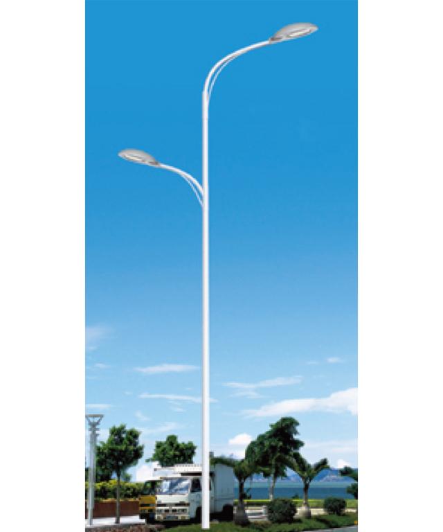照明路燈ZMLD-002